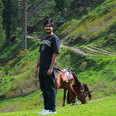 Muhammad Haseeb Aslam's profile picture